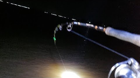 câu cá mùa nước đổ, duoc nguye vlogs