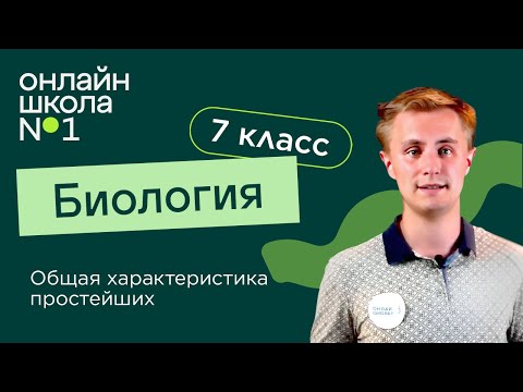 Общая характеристика простейших. Видеоурок 3. Биология 7 класс