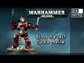 Warhammer 40k Blood Harvest Space Marine