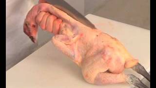 Technique de cuisine : Habiller une volaille