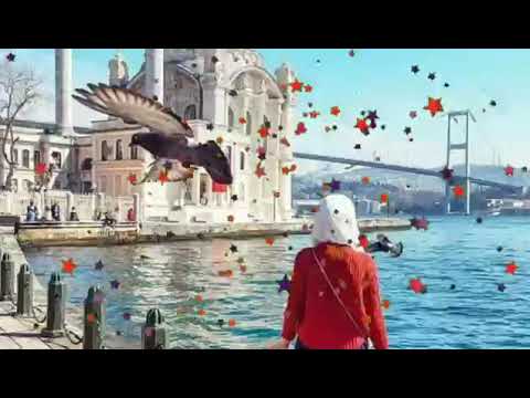 ياطير عالقبر لو مريت سلملي على الاحباب 