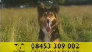 Dogs Trust - 2005