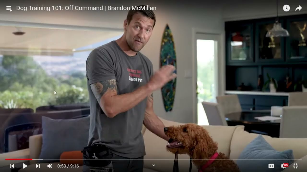 How to Gain Control of your Out of Control Dog - Brandon McMillan's Canine  Minded