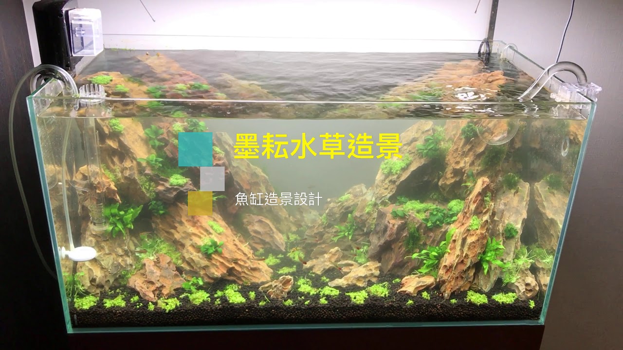 山谷型水草造景魚缸造景三尺造景範例 Youtube