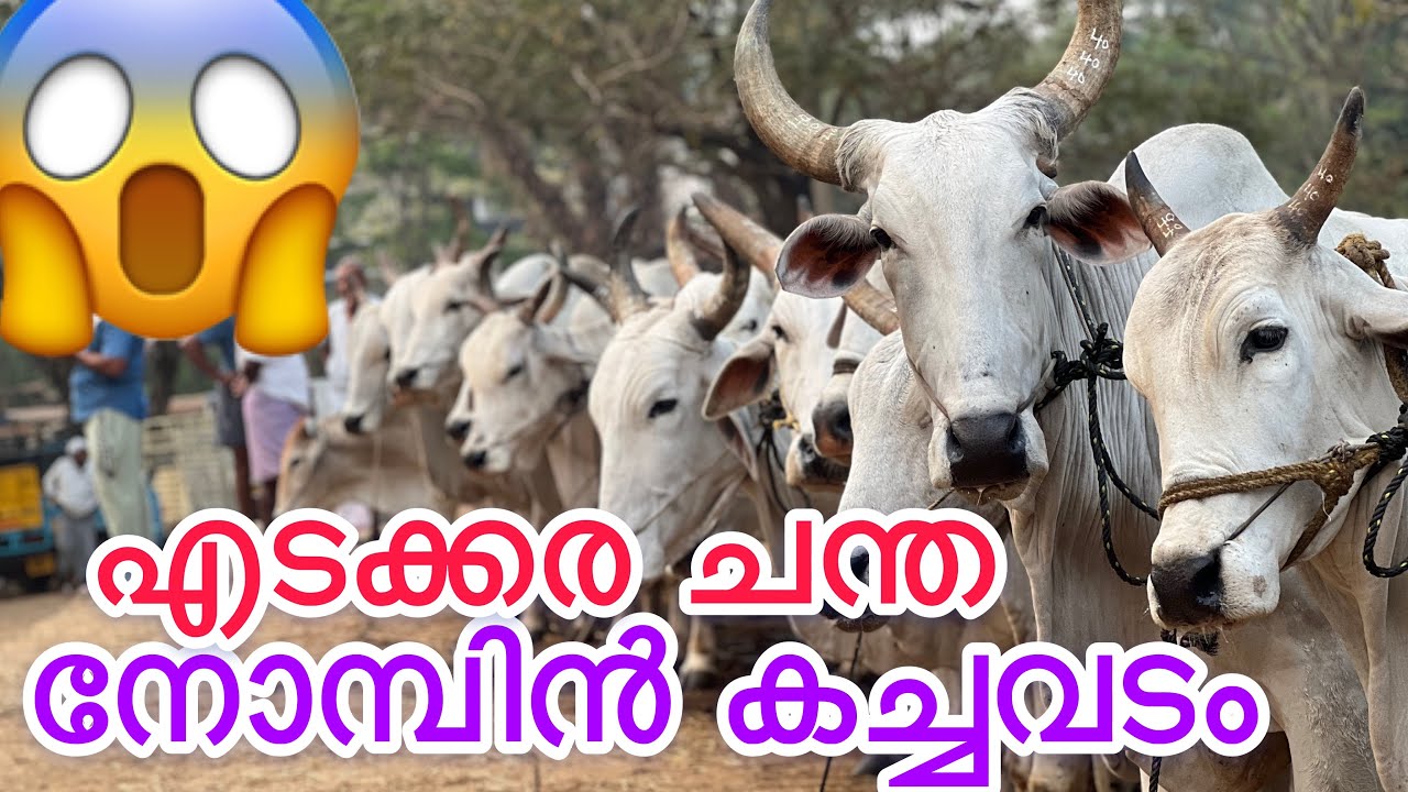 എടക്കര ചന്തയിലെ നോമ്പിൻ കച്ചവടം 😳😳