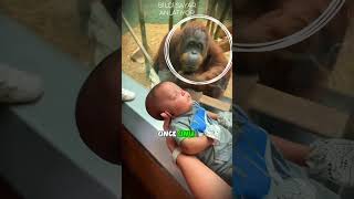 Hayvanlar İnsanlardan Daha Merhametli̇