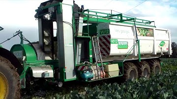 Floretting machine in-field - Cauliflower | Sweere