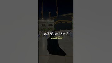 القرآن الكريم...... آيات من الذكر الحكيم