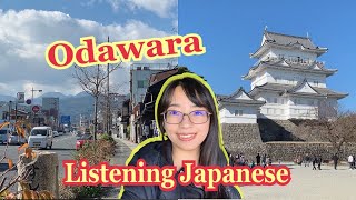 [Japan Travel] Odawara Vlog