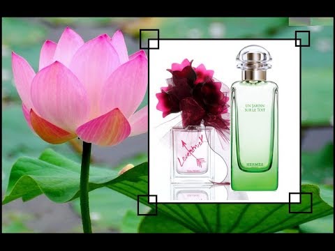 Video: Lotus Dose: Fragancias De Flores De Agua