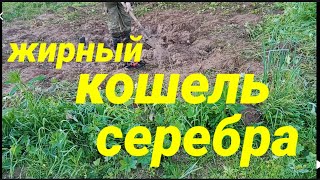 жирный кошель серебра