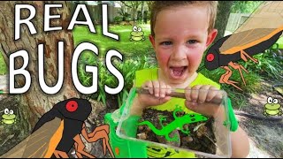 BUG HUNT for REAL Bugs! LIZARD, Grubs, BEETLES, Roly Polys, EARWIGS, Toads, WORMS & MORE for KIDS!!