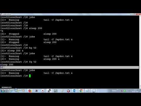 Understanding fg&bg Jobs in UNIX/LINUX