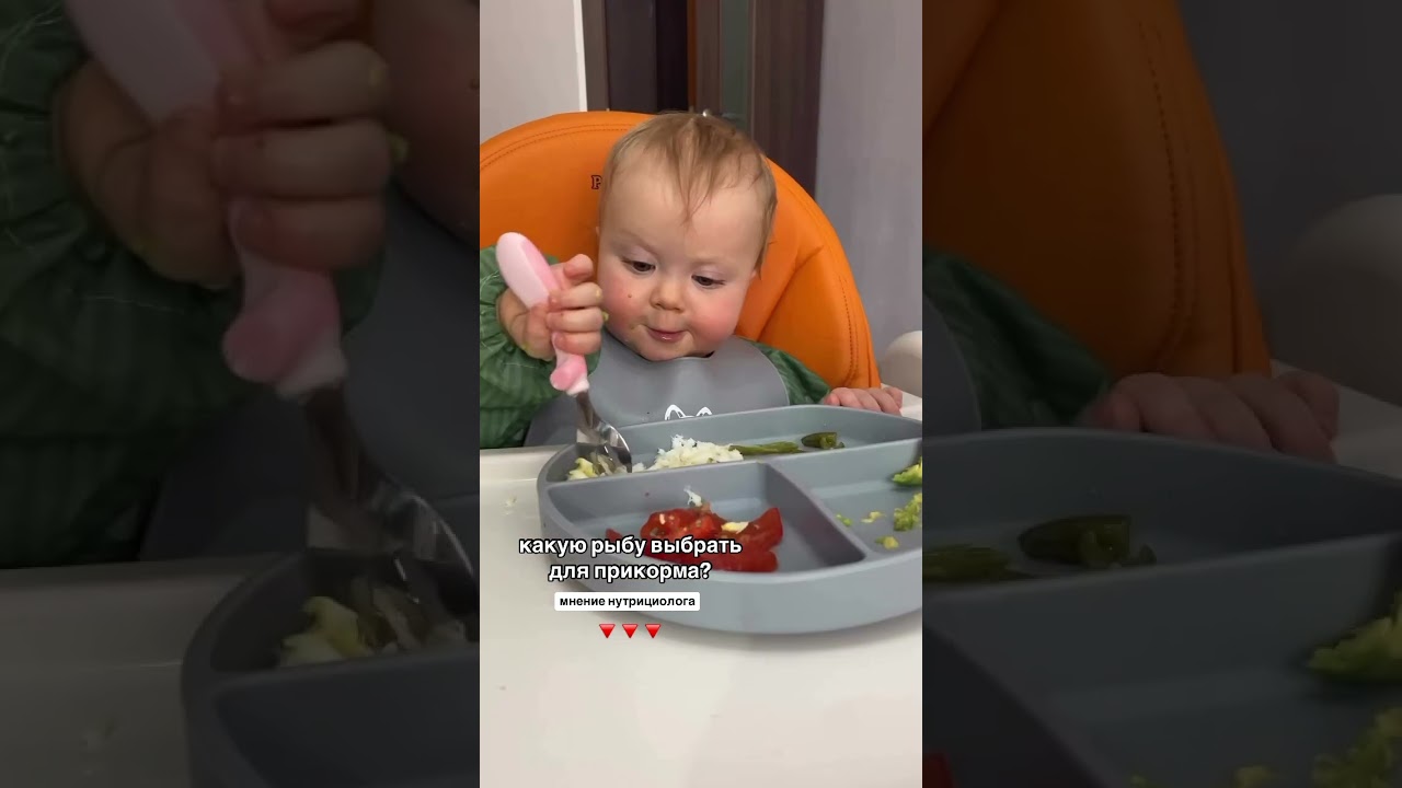 Прикорм. Какую рыбу выбрать для малыша
