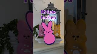 DIY Easter Paw Prints by Sophielovestuna 667 views 10 months ago 1 minute, 5 seconds