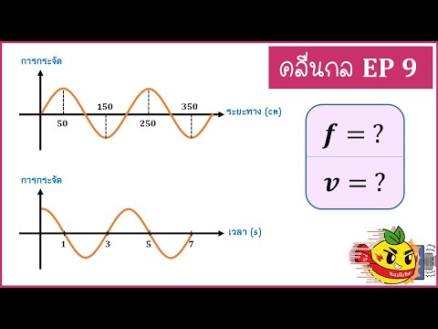 คลื่นกล ( Ep9) : เส้นเชือกเส้นหนึ่งสั่นด้วยความถี่คงที่ กราฟการกระจัดกับระยะทาง และการกระจัดกับเวลา