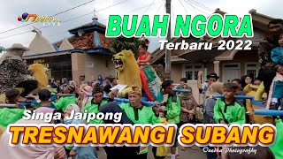 BUAH NGORA SINGA JAIPONG TRESNAWANGI SUBANG TERBARU 2022