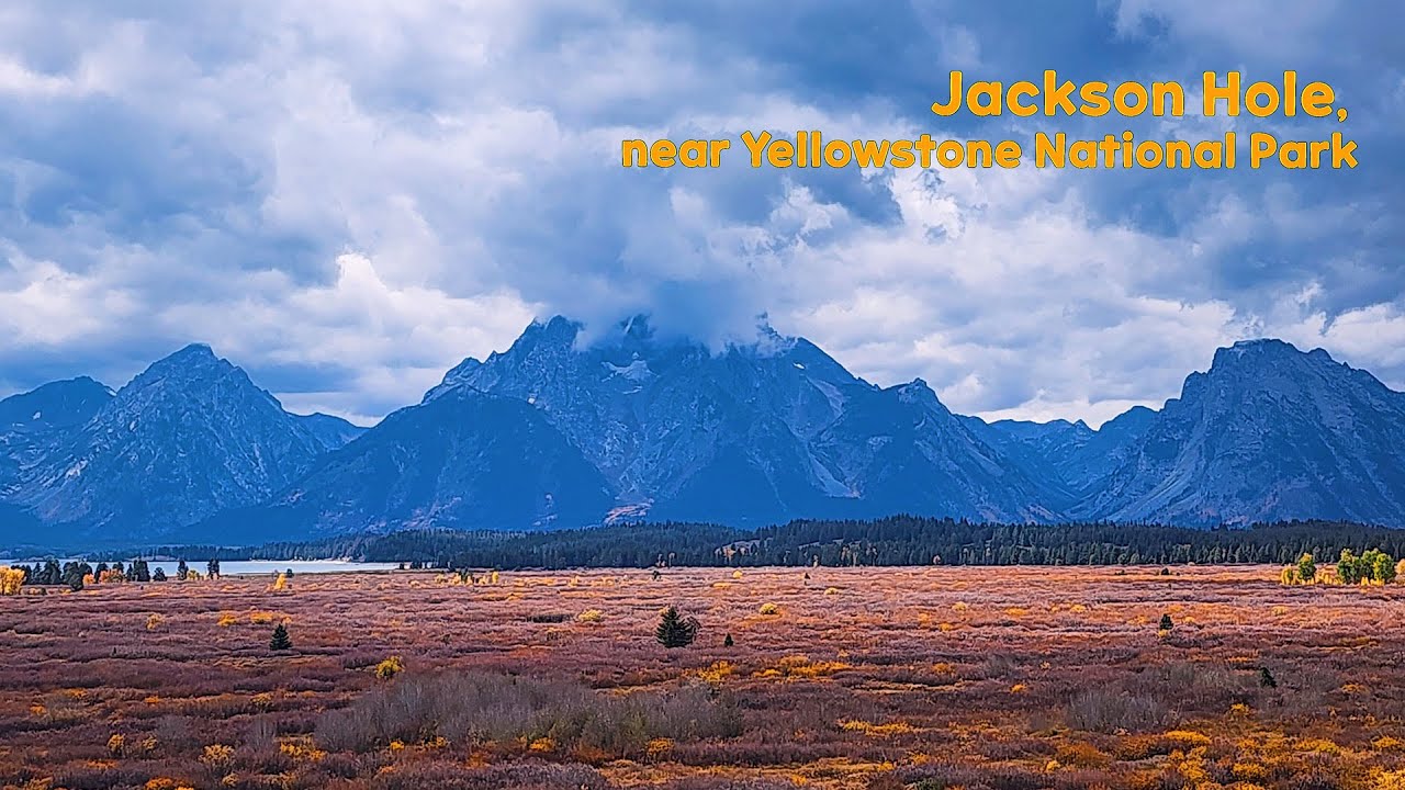 4K 이보다 아름다운 단풍은 본 적이 없다.