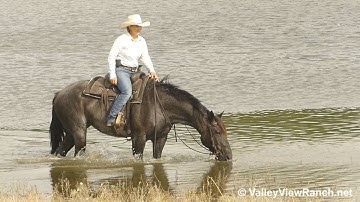 Blue - trail riding! - ValleyViewRanch.net