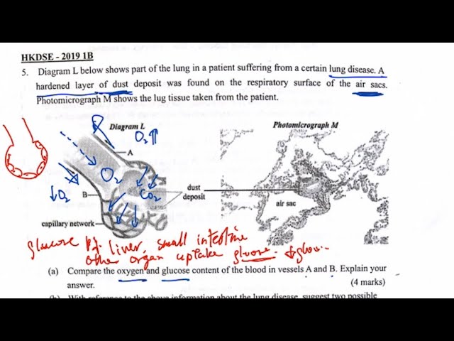 Victor Kan - 生物解題示範 Victor Kan - 生物解題示範