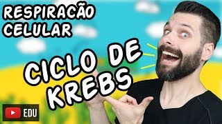 Respiração Celular (Parte 2) - Ciclo de Krebs | Biologia com Samuel Cunha