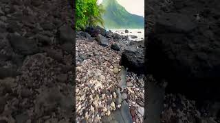 Tour guiding tourist at our hiking spots in ofu manu’a 🎥🌴📍