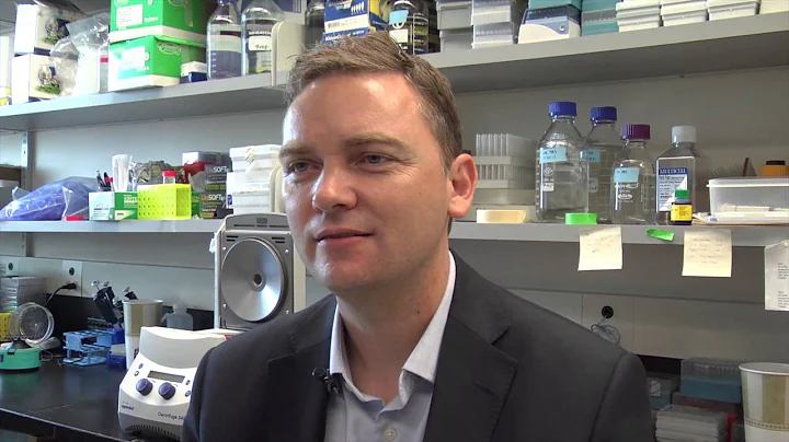Cancer researcher explains multiple myeloma relapse