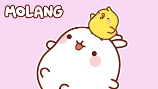 ALL the Season of Molang and Piu Piu 🐰🐥 Kitoons New Friends | Funny Cartoons in English