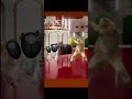 LOOPING THE ROOMS OIIA CAT mini Remake #goldencroissantcat #memecat #loopingtherooms #backrooms