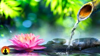 An updated version of this live stream will be released shortly. to
view or our other streams, click the link below.
https://www./yellow...