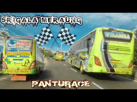 Ganas pantura memanas🔴kejar kejaran Bus Sahabat Ganas Vs Wiragora