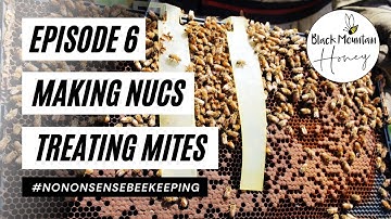 Overwintered Nucs - Episode 6 - Treating for Mites