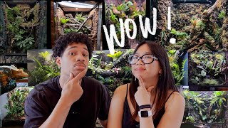 We Reacted to YOUR Bioactive Vivariums