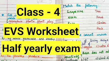 Class 4 evs half yearly exam Question Paper 2024-25 | Class 4 Exam Paper evs worksheet | part 2