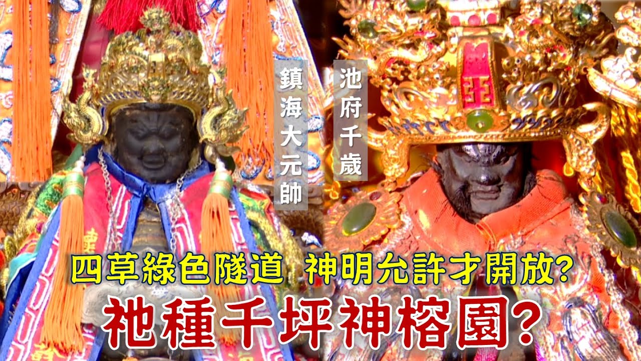 四草綠色隧道由祂管理？這間廟曾供奉荷蘭戰士？八八風災池王早有準備？關公種植千坪神榕園？台灣百廟2024/08/11-四草大眾廟(鎮海大元帥)+什二佃南天宮(池府千歲)+武聖廟神榕園(關聖帝君、松王公)