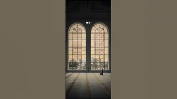 سورة المرسلات | قراءة رعد الكردي🤍 #قرآن #قرآن_كريم #رعد_الكردي #ترتيل #رمضان