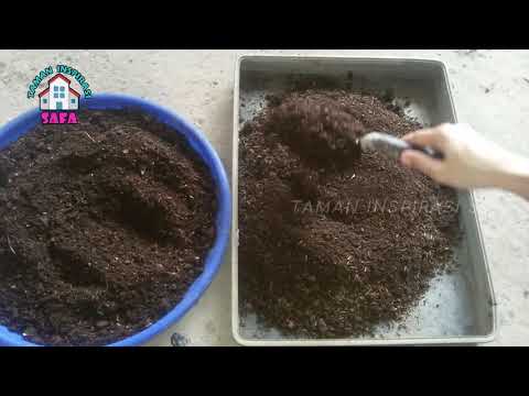 Video: Kompos Dalam Kantong: Bagaimana Cara Menumpahkan Kompos Di Kantong Sampah Hitam? Bagaimana Cara Membuat Kompos Cepat Dengan Tangan Anda Sendiri?