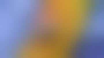 Persona The Personalized Knee Replacement- Dr Steven Barnett