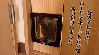 【猫】賃貸でもOK！DIYでキャットドアを取り付けしました。