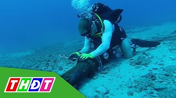 Internet đi Quốc tế bị ảnh hưởng do sự cố cáp quang biển | THDT