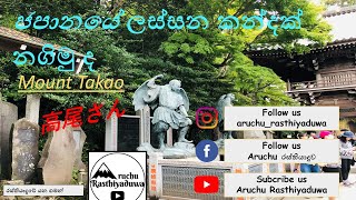 Mount Takao | 高尾山 | Hiking