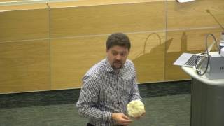 Navigating the brain: software programming for surgical planning - UCL Lunch Hour Lecture screenshot 2