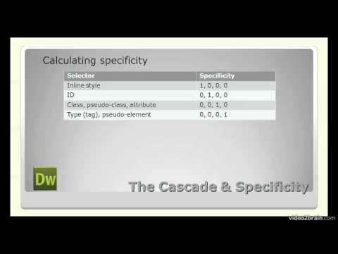 4.7  Understanding the Cascade and Specificity