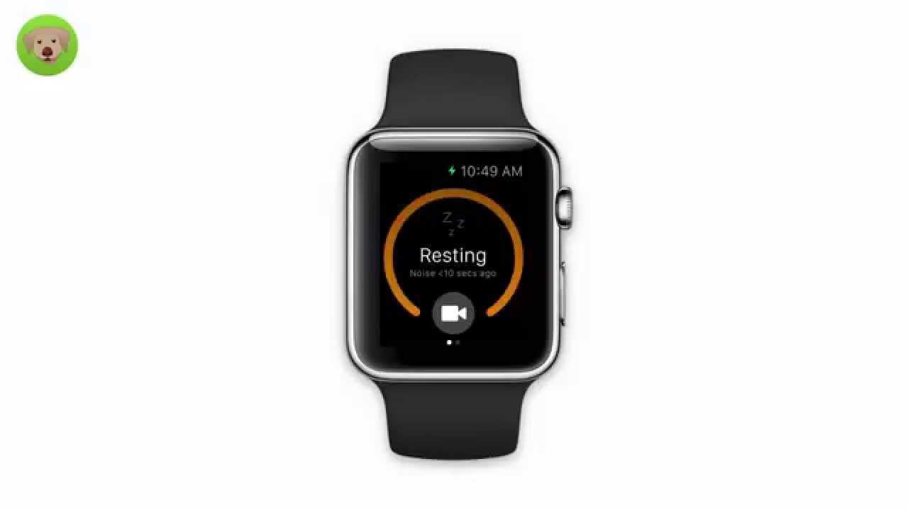 Dog Monitor for Apple Watch Sneak Peek YouTube