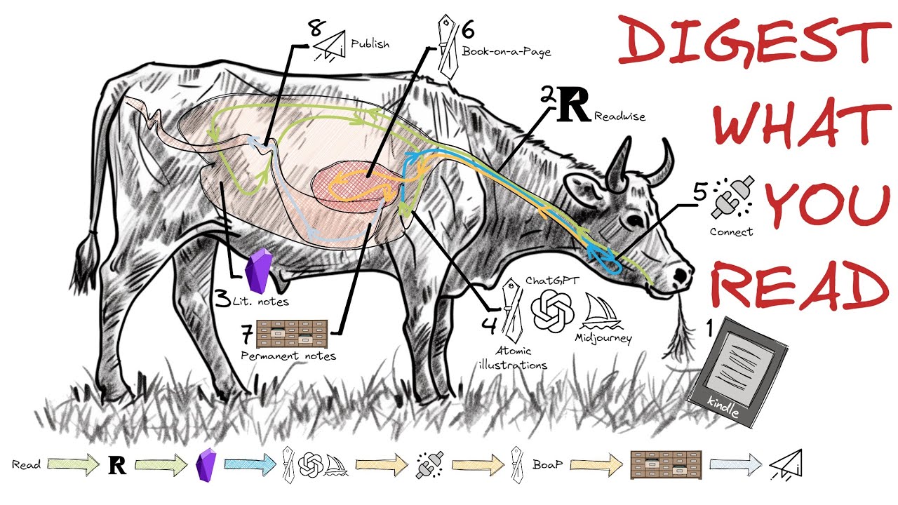Digest What You Read: Walkthrough of my process for understanding Rationality by Eliezer Yudkowsky