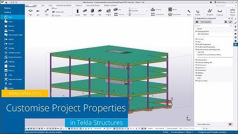 Tekla Structures - Custom Project Properties [TS 2022 SP2]
