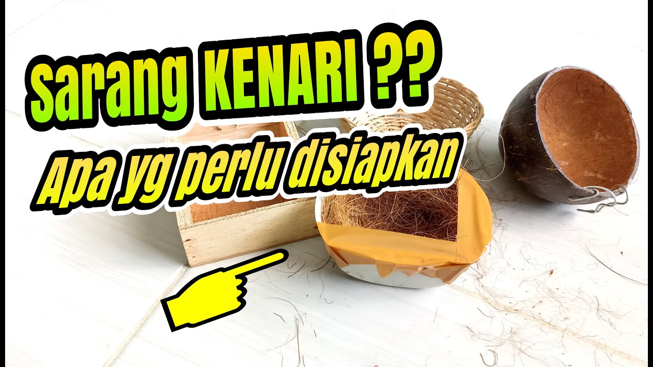 Trik & Cara MENYUSUN SARANG Kenari buat TERNAK