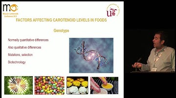 Lecture 1: Dr Antonio Mendelez-Martinez, Carotenoid-containing foods to improve health