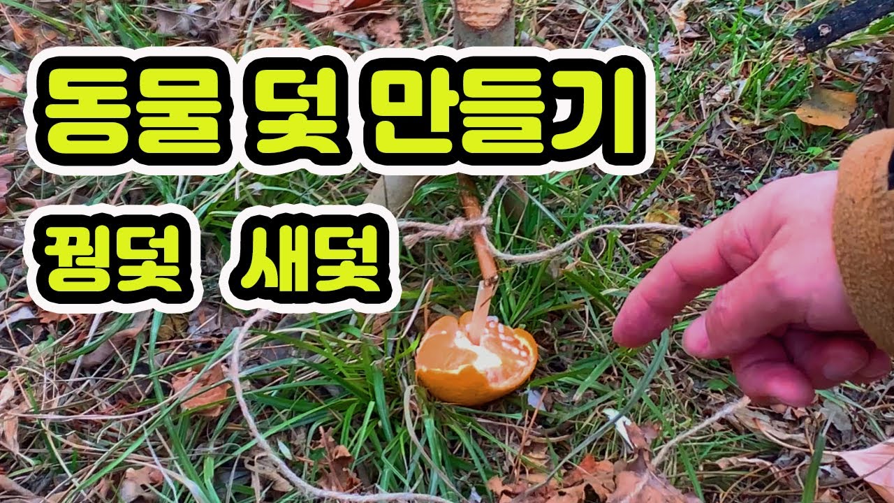 덫 만들기 / bushcraft trap  / 새덫 만들기 / 꿩덫 만들기 / 동물 덫 만들기 / 트랩 / 멧돼지 덫 만들기