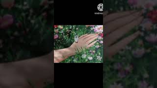 Beauty of flowers 💮💮💮 #anime #animeedit #suzume #wallpaper #animeshorts #aesthetic #relaxingmusic